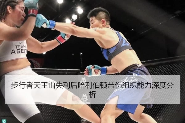 步行者天王山失利后哈利伯顿带伤组织能力深度分析